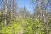 Trail 1