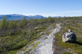 Trail 2