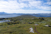 Wind shelter 1