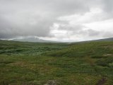 Fjelds 6