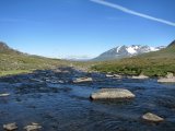 Fjelds 1