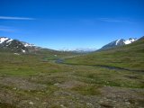 Fjelds 2