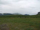 Fjelds 1
