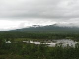 Fjelds 1