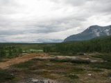 Fjelds 2