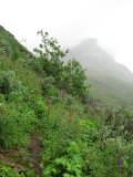 Path 1