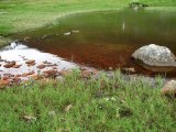 Pool 1