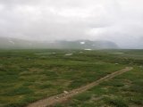 Trail 1