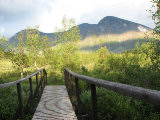 Bridge 2