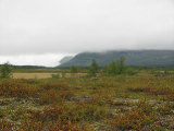 Fjelds 3