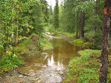 Trail 3