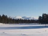 Fjelds 3