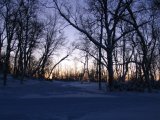 Morning 1