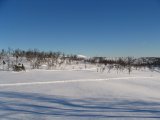 Trail 3