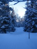 Trail 4