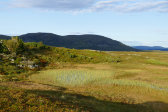 D�rrsvalen 2