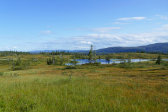 Holmtjärnen 1