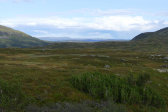 Fjelds 7