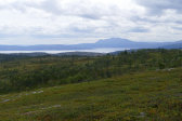 Fjelds 14