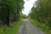 Road 1