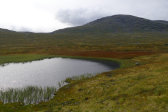 Tarn 5