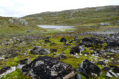 Tarn 8
