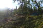 Tent 6
