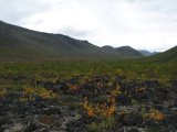 Tarradalen 16
