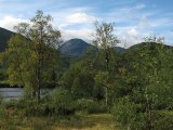Vuokskvahta 4
