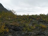 Autumn 12