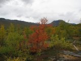 Autumn 14