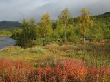 Autumn 5
