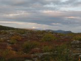 Evening 3