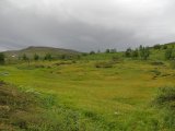 Fjelds 6