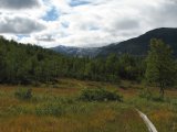 Fjelds 1