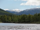 Fjelds 2