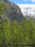 Fjelds 3