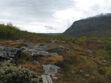 Fjelds 1