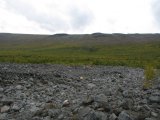 Fjelds 2