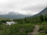 Fjelds 1