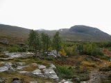 Fjelds 4