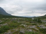 Fjelds 2