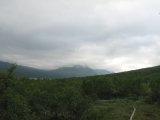 Fjelds 4