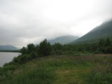 Fjelds 5