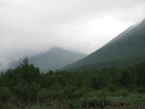 Fjelds 6