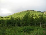 Fjelds 1