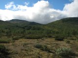 Heathland 2