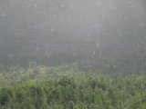 Rain 6