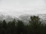 Snow 8