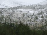 Snow 9